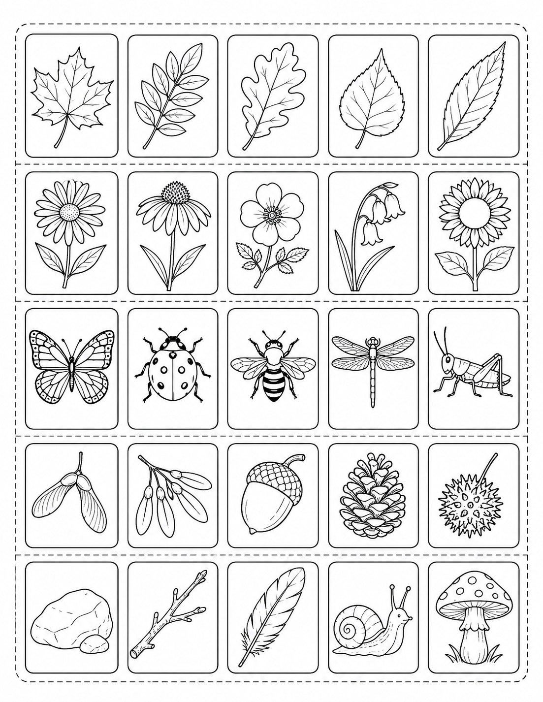 Nature Specimen Identification Grid printable coloring page line art